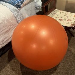 Giant Exercise Ball 