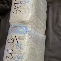 Size 6 Parents Choice Diapers