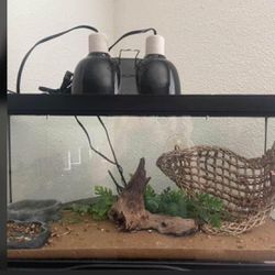 Tank For Reptile