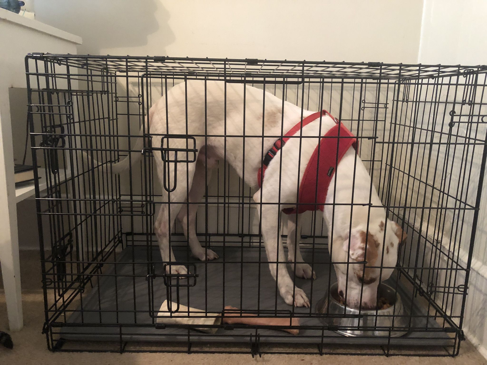 Dog crate