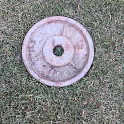 Work Out Bench Weights 