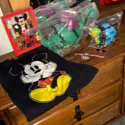 7 Disneyland Items For A Girl 