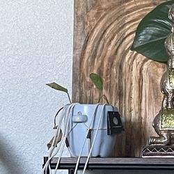 Plant in Hanging pot