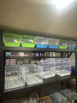 Bird and hamster cages