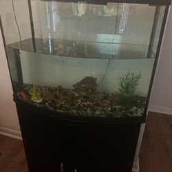 36 Gallon fish tank