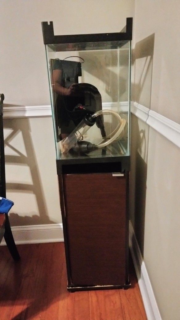 Big Fish Tank