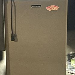 Mini Fridge  