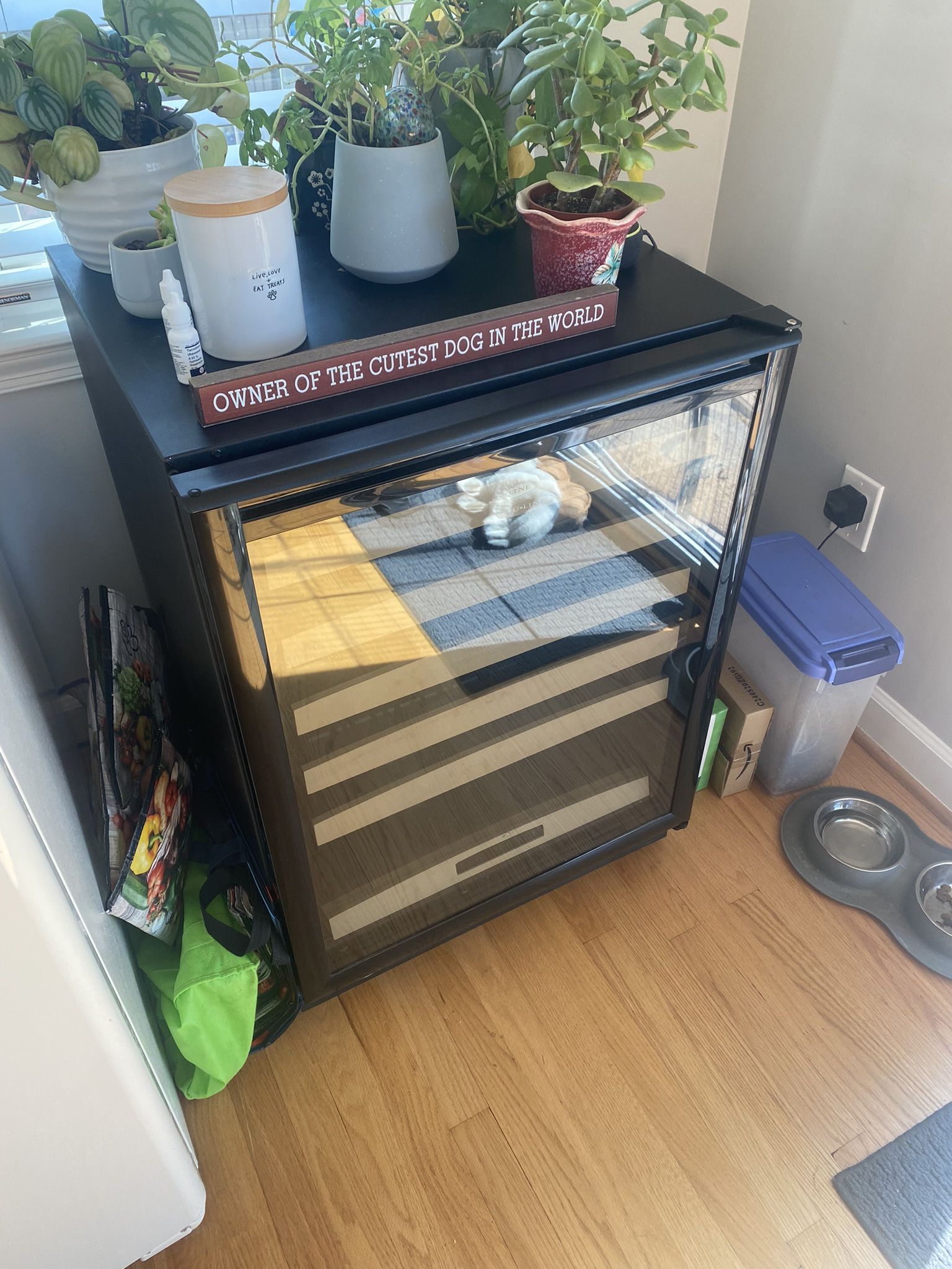 Wine Fridge