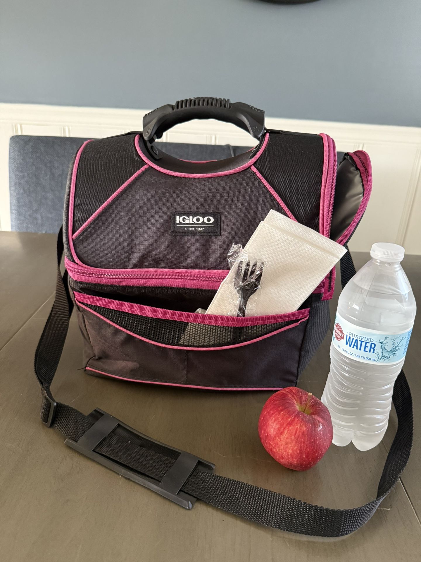 Igloo Lunch Box Tote