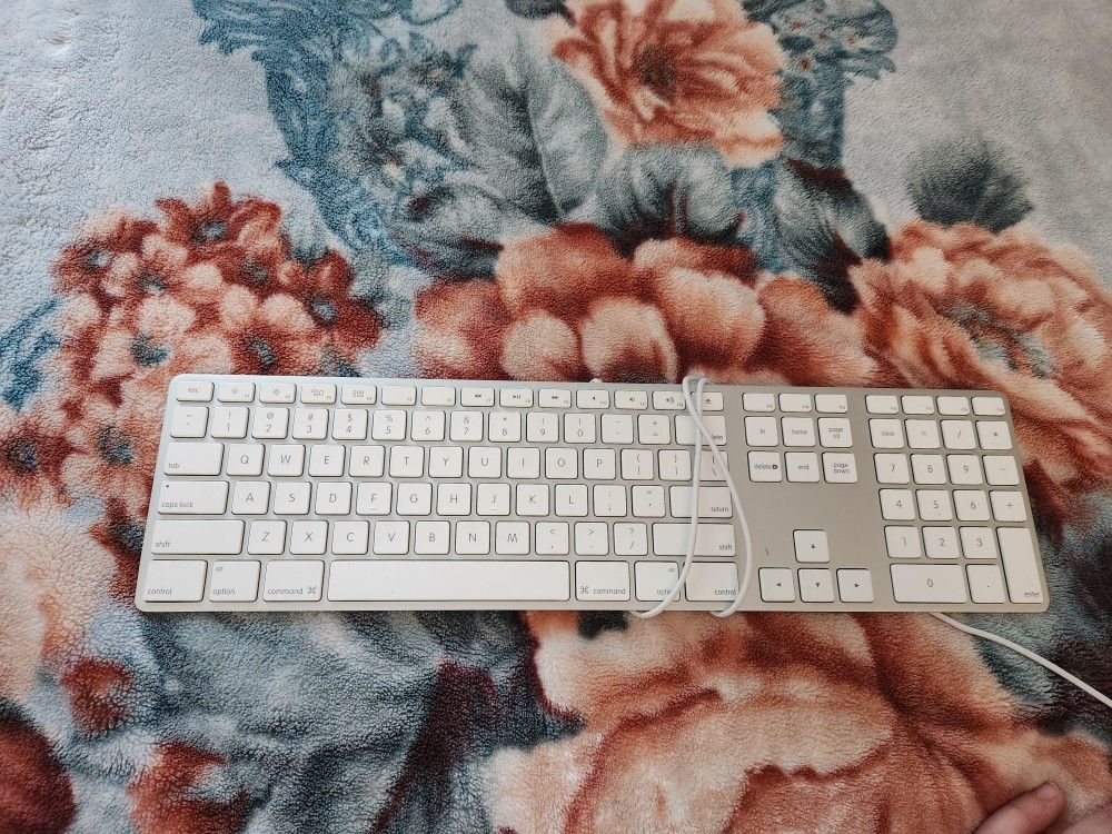 Apple Keyboard UNTESTED USED
