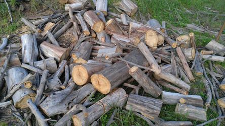 Firewood Fire Wood Logs. Free kindling