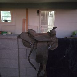 Saddle
