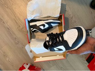 Brand New Panda Nike Dunk - $50