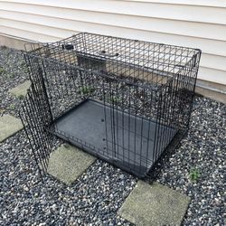 Kennel/create