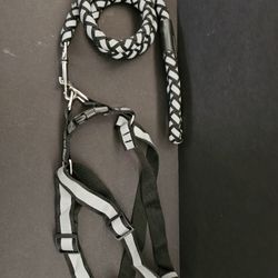 Leash Y Harness