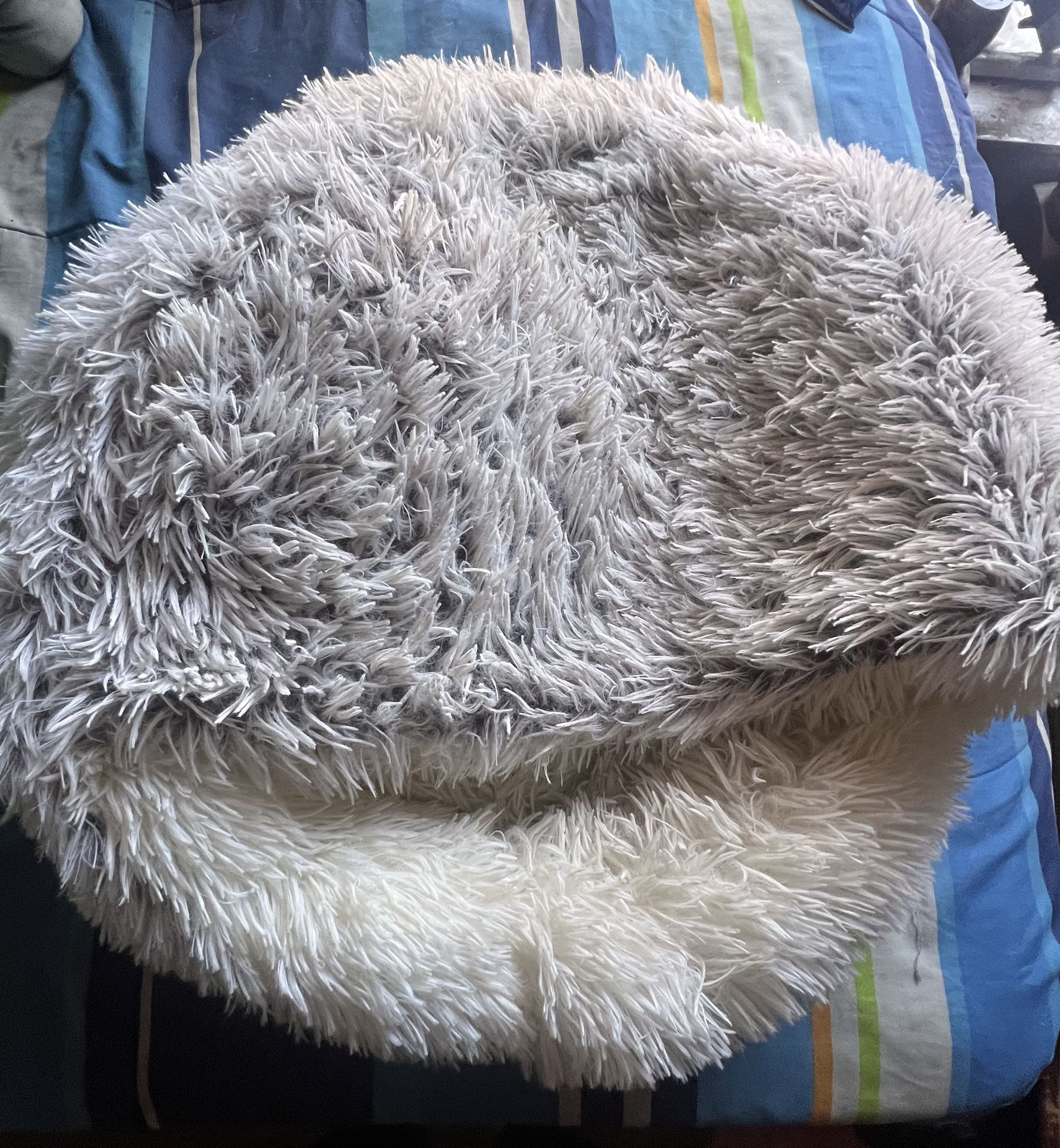 dog bed can be used for cats too