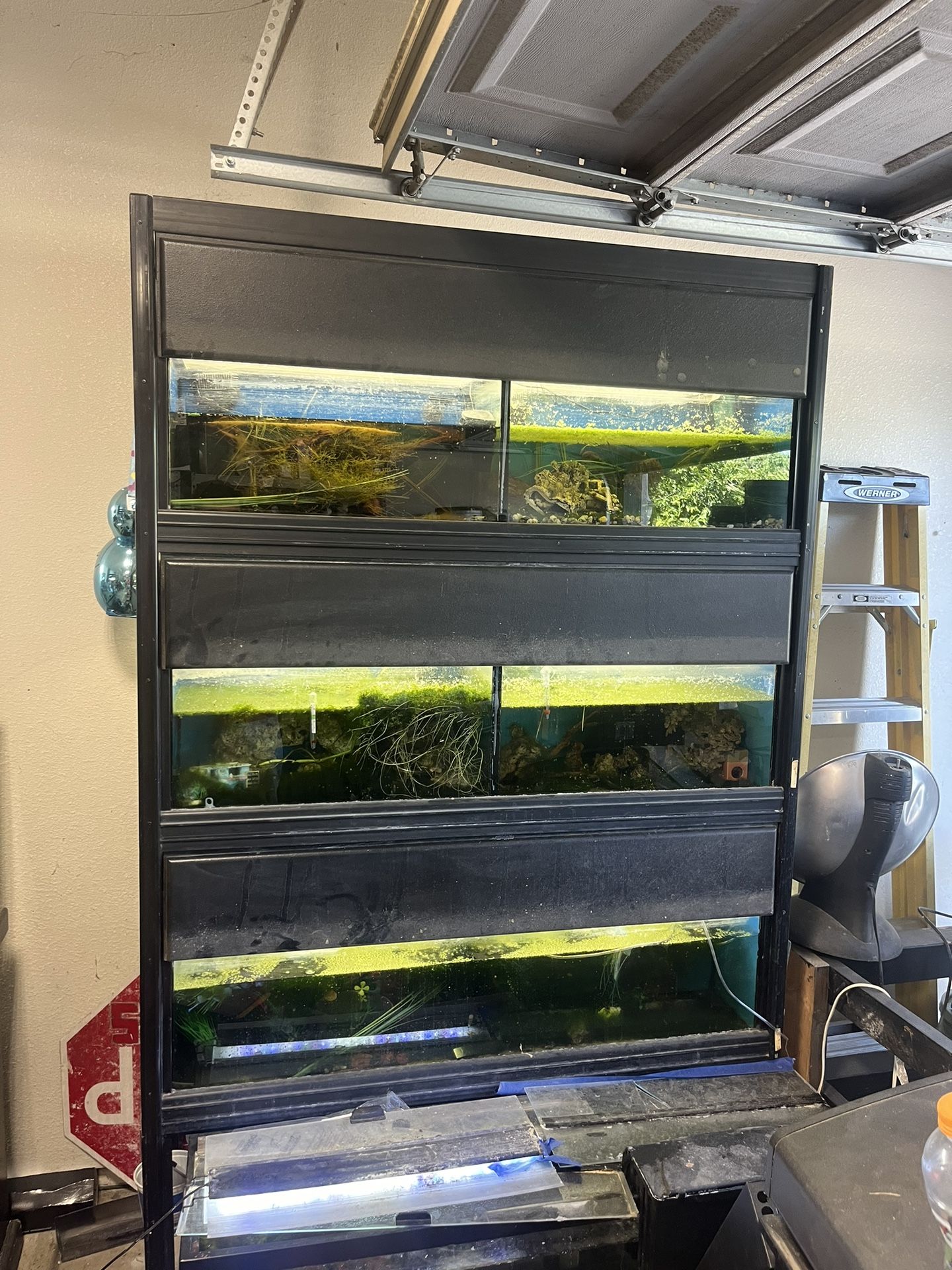 Professional Fish Tank Rack