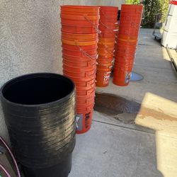 Black Containers 