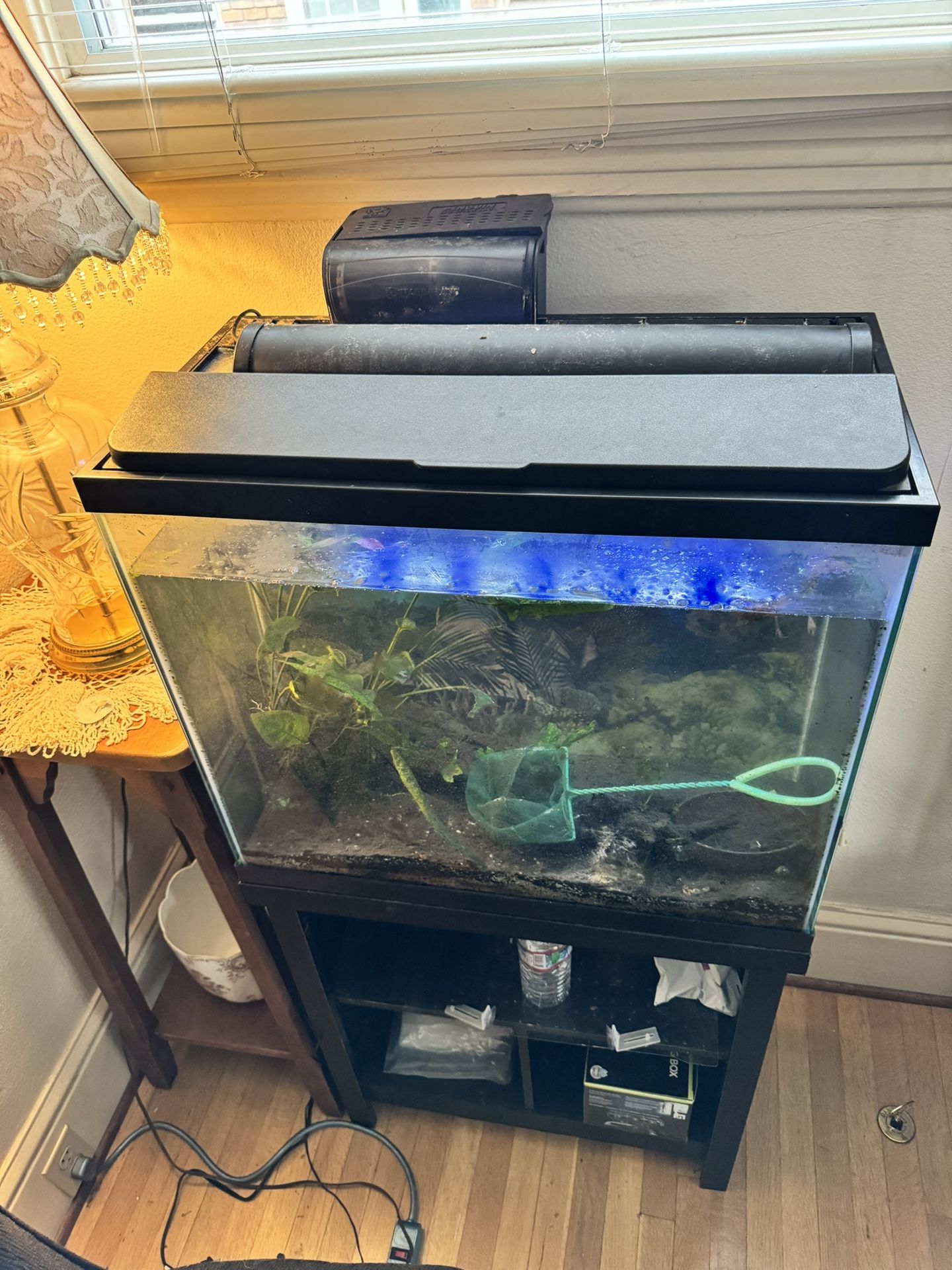 Aquarium 25 Gallon