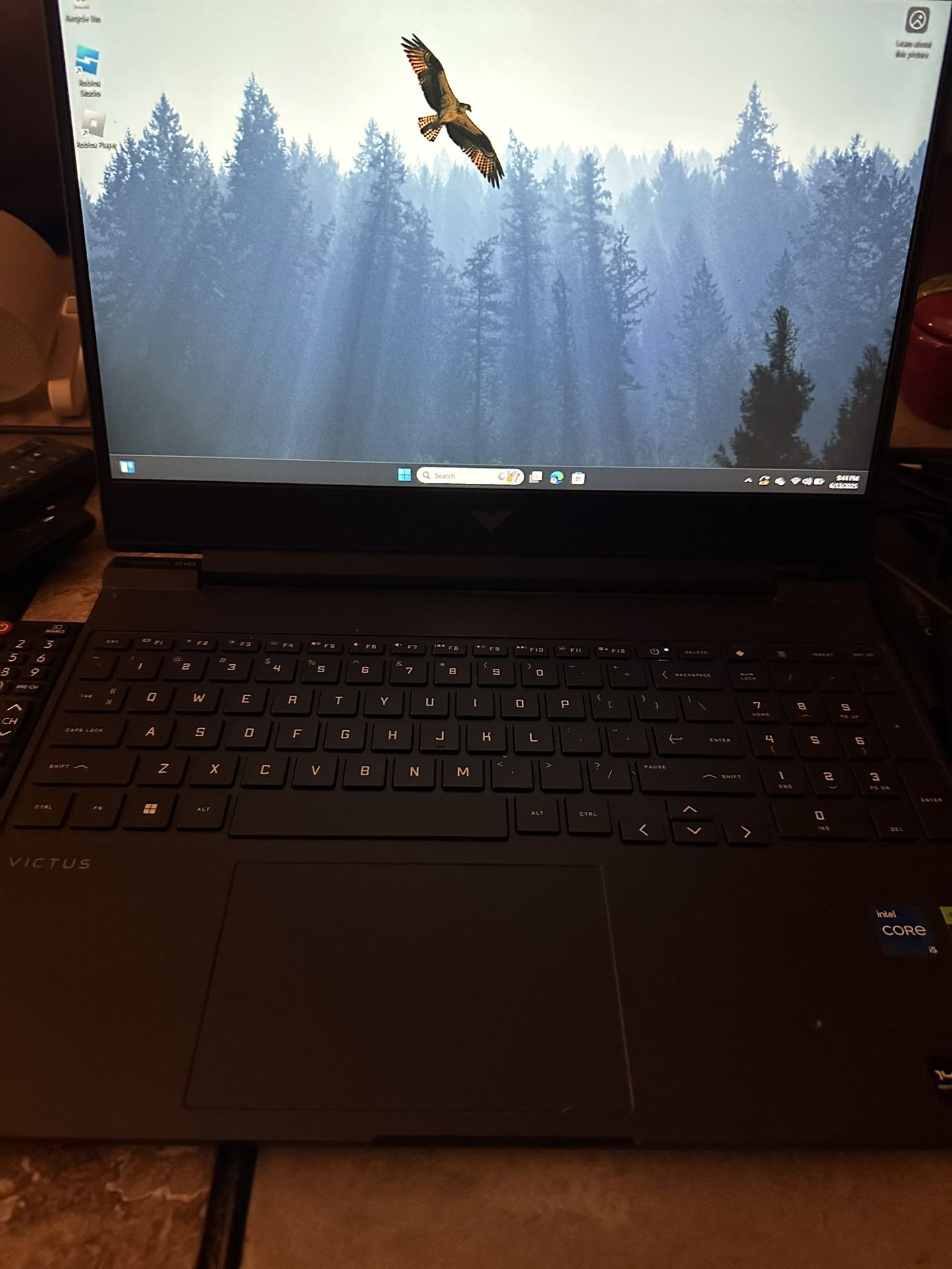 Victus Gaming Laptop