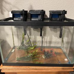 Fish Tank, Filtration And Accessories 