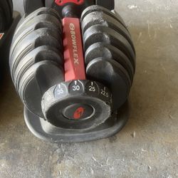 Bowflex 552 Pair Adjustable Dumbbells