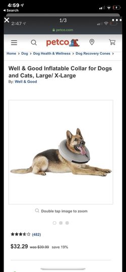 Dog inflatable collar