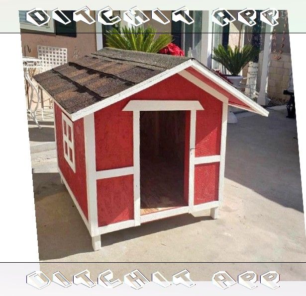 Special Dog Houses - Made for Your Pet's Specific Needs there shoulder