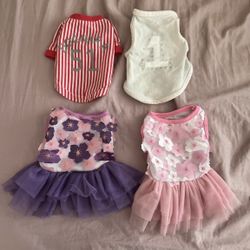 4 Pieces of Dog Clothing