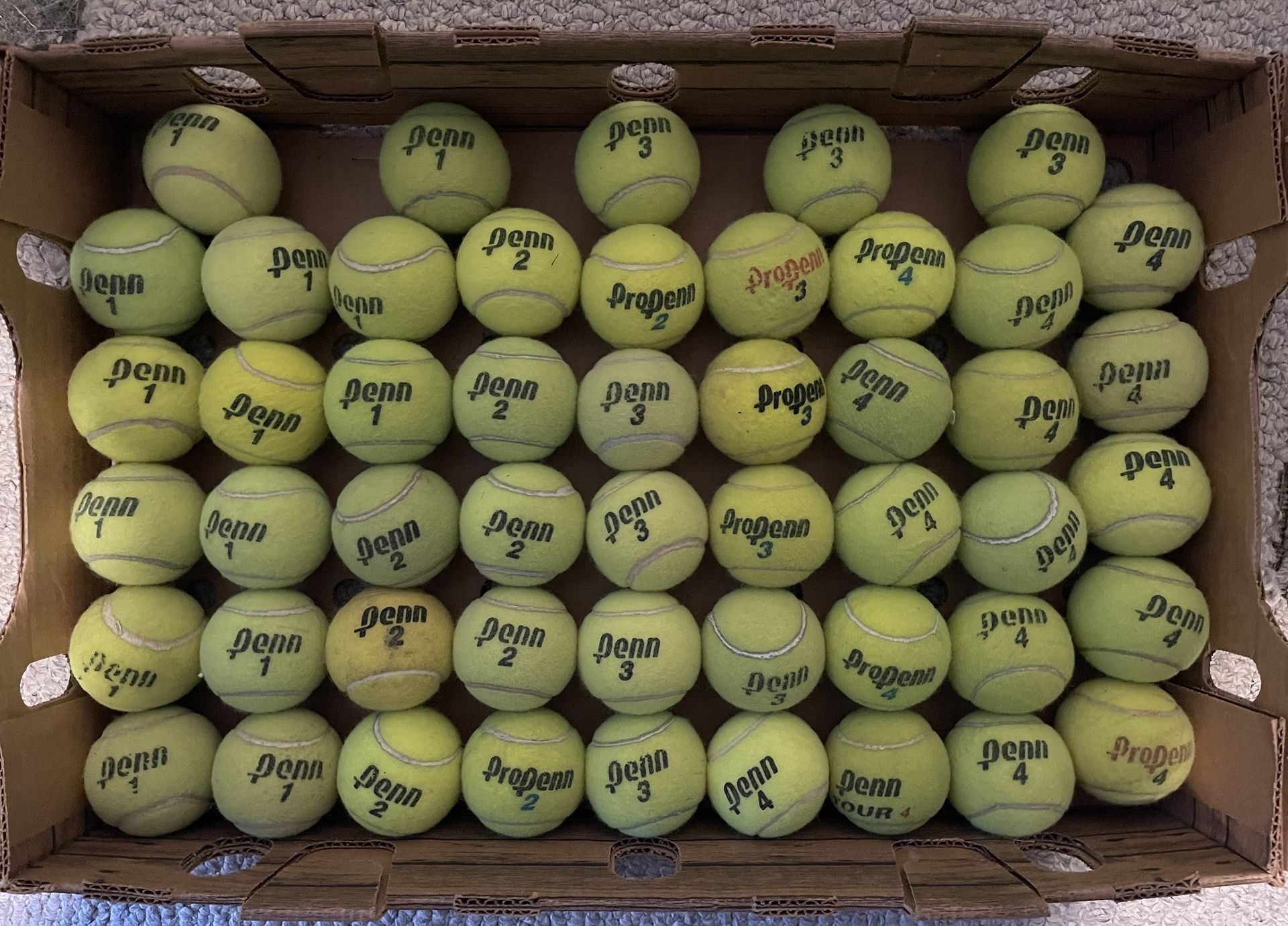 50 Used Penn Tennis Balls