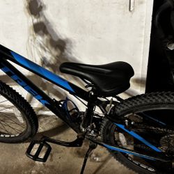 Awesome Giant Mountain Bike In Almost New Condition