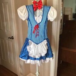 Halloween Costume Wizard Of Oz Dorthy Costume With Hair Bows Girls Size M (8-10)