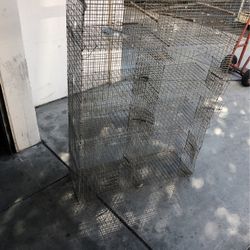 Bird cage 
