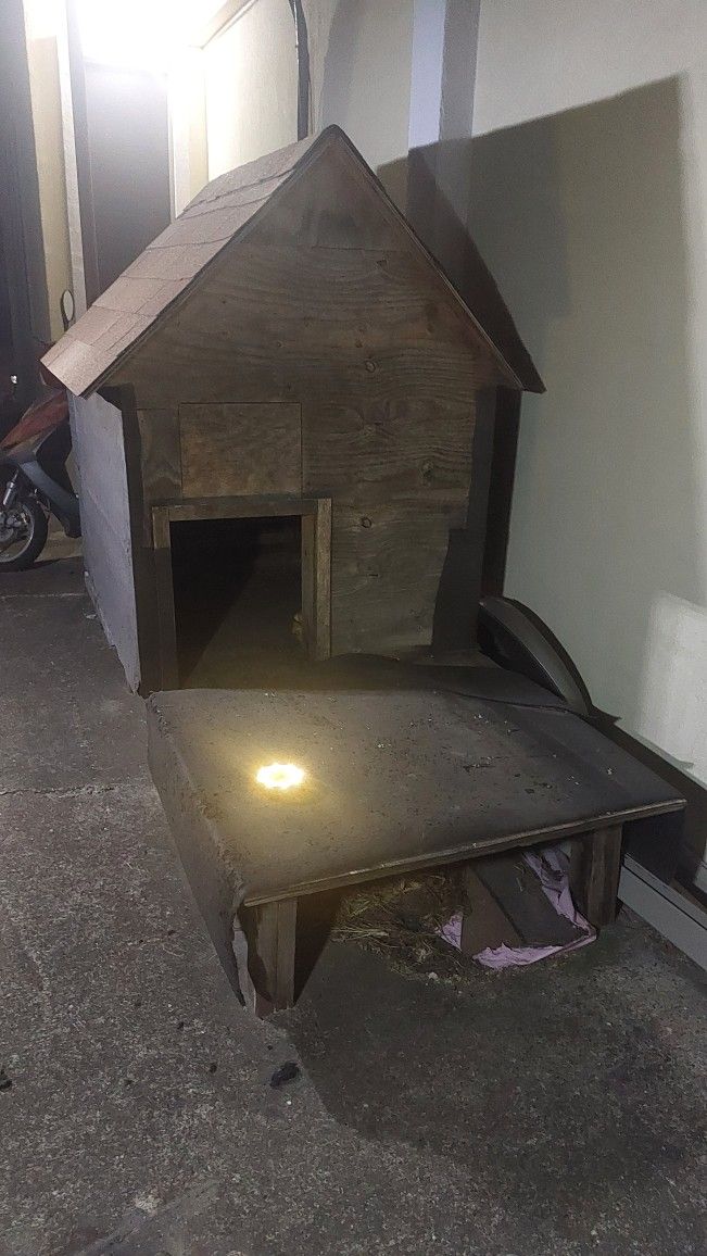 Large Dog House