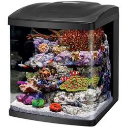 Carolife Biocube 16 Gallon