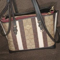 Coach Striped Mollie Bag