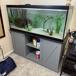 75 Gallon Fish Tank
