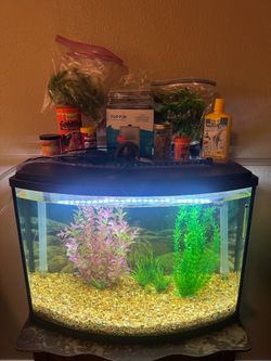 Fish Tank 36 Gallon Aquarium