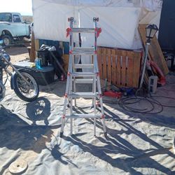 Little Giant 5foot Ladder 