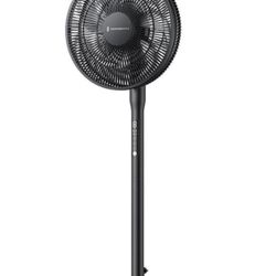 Black Stand Fan