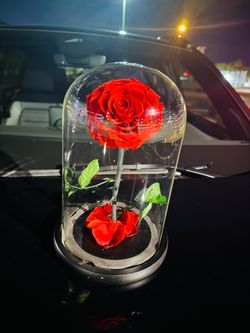 Beauty & the beast glass rose art