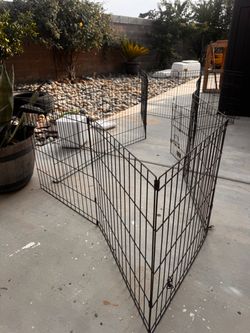 Collapsible dog fence