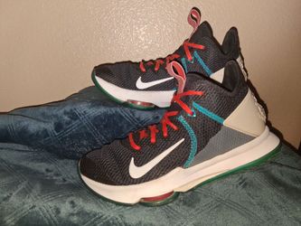 Nike LeBron Witness