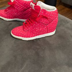 Wedge Dunk Sz 6 $50 Dog Carrier $30 Package $75