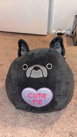Valentine’s dog squishmallow