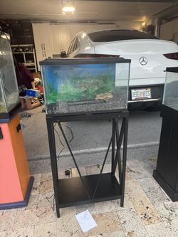Aquarium + Black Metal Stand + Decor, Background and Gravel