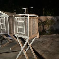 Bird Cages 