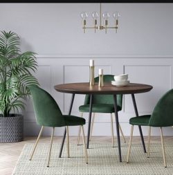 2 gorgeous velvet chairs