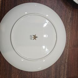 Fine Eternal China /LantingRose 40pcs