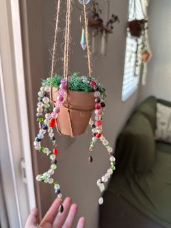 Decorative plant